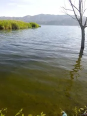 دریاچه زریبار مریوان