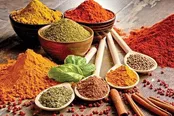 ۴ ادویه ضد آلزایمر