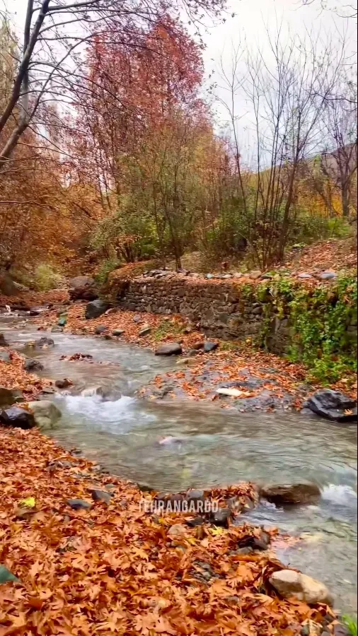 طبیعت پاییزی