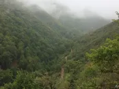 خلخال به اسالم