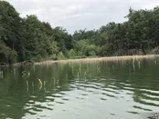 درياچه اليمالات نور مازندران