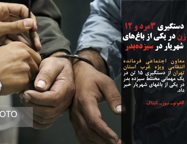 معاون اجتماعی فرمانده انتظامی ویژه غرب استان تهران از دستگیری ۱۵ تن در یک مهمانی مختلط سیزده بدر در یکی از باغهای شهریار خبر داد.
