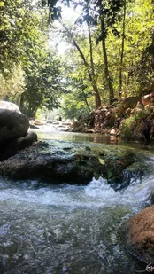 جنگل تنگه شهرستان مینودشت/استان گلستان
