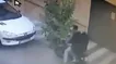 تصاویر زوج سارق کامپیوترهای پژو 206