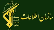 دستگیری ۲ تن از مرتبطین شبکه‌های مجازی ضدانقلاب