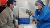 جان توله یوز سوم در خطر است