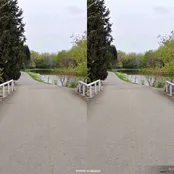 باغ گياه شناسي ملي ايران