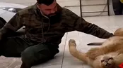 تصاویر شیر ورزشکار ایرانی که ضبط شد