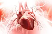 برای سلامت قلب کدام حالت بدن بهتر است؟