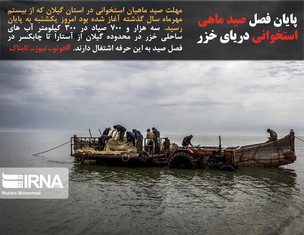 مهلت صید ماهیان استخوانی در استان گیلان که از بیستم مهرماه سال گذشته آغاز شده بود امروز یکشنبه به پایان رسید. سه هزار و ۷۰۰ صیاد در ۳۰۰ کیلومتر آب های ساحلی خزر در محدوده گیلان از آستارا تا چابکسر در فصل صید به این حرفه اشتغال دارند. #فوتوـ نیوزـ تابناک
