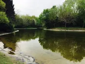 باغ گياه شناسي تهران
