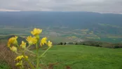 بهار در استان گلستان بخش لوه