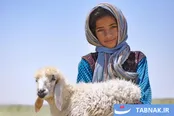 عکس: سیستان، سرزمینی از راز‌ها و زیبایی‌ها