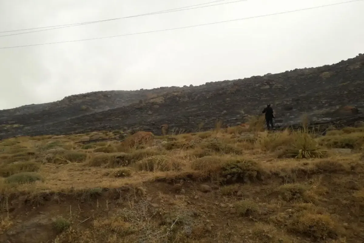 آتش‌سوزی در منطقه گردشگری نئور اردبیل