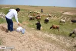 تهیه و توزیع غذا میان سیل زدگان
