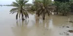 تابناک