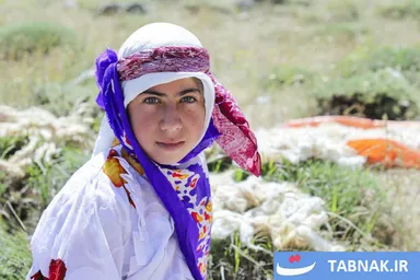 عکس: ایل آتمیانلو؛ روایت اصالت عشایر در ییلاقات سرسبز ارسباران