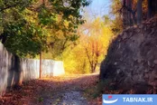 عکس: تفرش؛ نگینی پنهان در قلب ایران