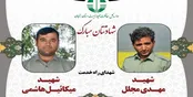 اصلاح قانون برای بکارگیری سلاح به نفع محیط بانان