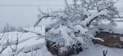 ایران با برف نفس تازه کرد