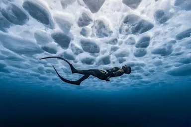 عکس: دنیای شگفت‌انگیز اقیانوس‌ها