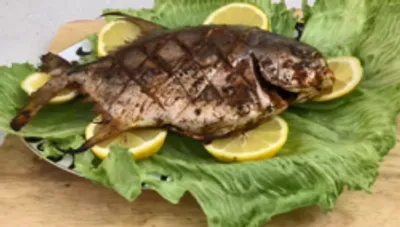 طرز تهیه ماهی با مرینیت آلبالو