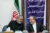 دیدار اعضای کمیسیون امنیت ملی با عراقچی + عکس