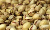 نغمه صبحگاهی پرندگان / «سفر به جیحون آباد» رنو گارسیا / «عزیز دوستوم مندن کوسوب اینجیدی» عالم قاسم اف / تهران در  دوران احمدشاه قاجار / روش بستن وسایل برای تعطیلات
