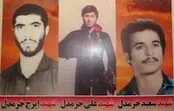 پایان جدایی مادر شهیدان خرمدل با ۳ فرزند شهیدش