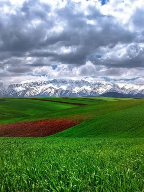 قالی کوه در الیگودرز زیبا + عکس