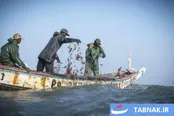 ماهیگیری بومی؛ ستون معیشت و فرهنگ گامبیا