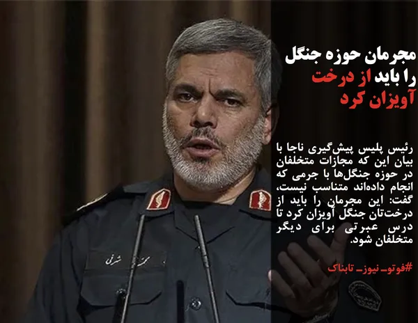 رئیس پلیس پیش&zwnj;گیری ناجا با بیان این که مجازات متخلفان در حوزه جنگل&zwnj;ها با جرمی که انجام داده&zwnj;اند متناسب نیست، گفت: این مجرمان را باید از درخت&zwnj;تان جنگل آویزان کرد تا درس عبرتی برای دیگر متخلفان شود.

