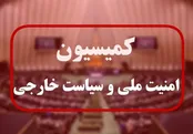 پیشنهاد کمیسیون امنیت ملی برای افزایش بودجه دفاعی