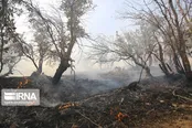 یک هزار هکتار جنگل و مرتع لرستان در آتش سوخت