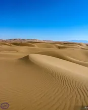 كوير مرنجاب
