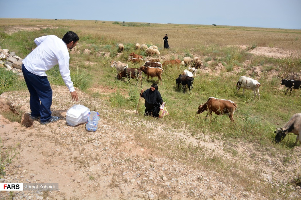 تهیه و توزیع غذا میان سیل زدگان