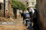 پلدختر 