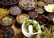 مصرف خودسرانه گیاهان دارویی عارضه دارد