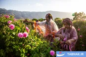 گل و گلاب میمند