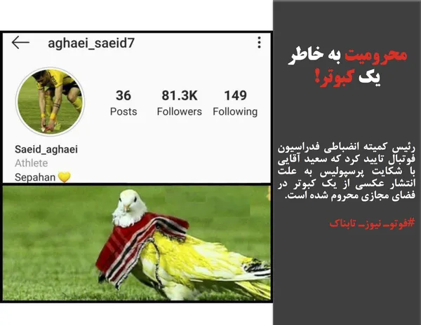 رئیس کمیته انضباطی فدراسیون فوتبال تایید کرد که سعید آقایی با شکایت پرسپولیس به علت انتشار عکسی از یک کبوتر در فضای مجازی محروم شده است. 

