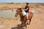تهیه و توزیع غذا میان سیل زدگان
