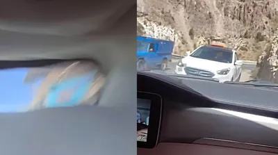 لحظه تصادف وحشتناک شاخ به شاخ