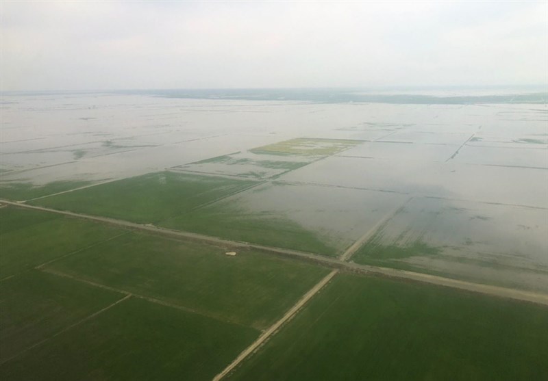 ۲
