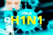 همه چیز در مورد آنفلوانزای خوکی