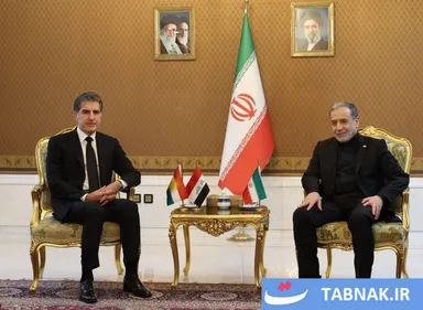 عکس: استقبال عراقچی از هیئت‌های خارجی در آیین ادای احترام به رهبر شهید