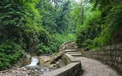 حکم شکارچیان غیرمجاز در گلستان