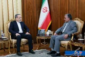 دیدار رئیس دفتر حفاظت منافع ایران در قاهره با عراقچی