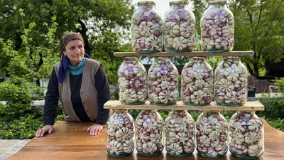 روش تهیه ترشی سیر به روش سنتی آذربایجانی
