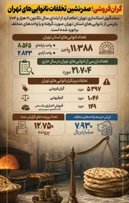 اینفوگرافیک: پرتکرارترین تخلفات نانوایی‌های تهران