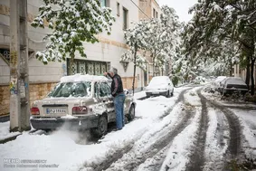 بارش برف در تهران‌ آغاز شد